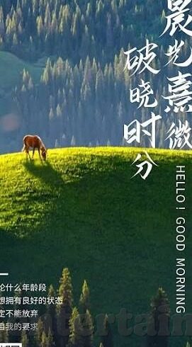 足球英超直播比分-英超直播比分背后的激情与悬念，一场永不落幕的足球盛宴